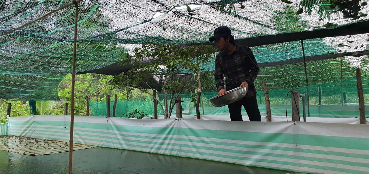 Một nông dân ở Khánh Hòa nuôi con đặc sản 