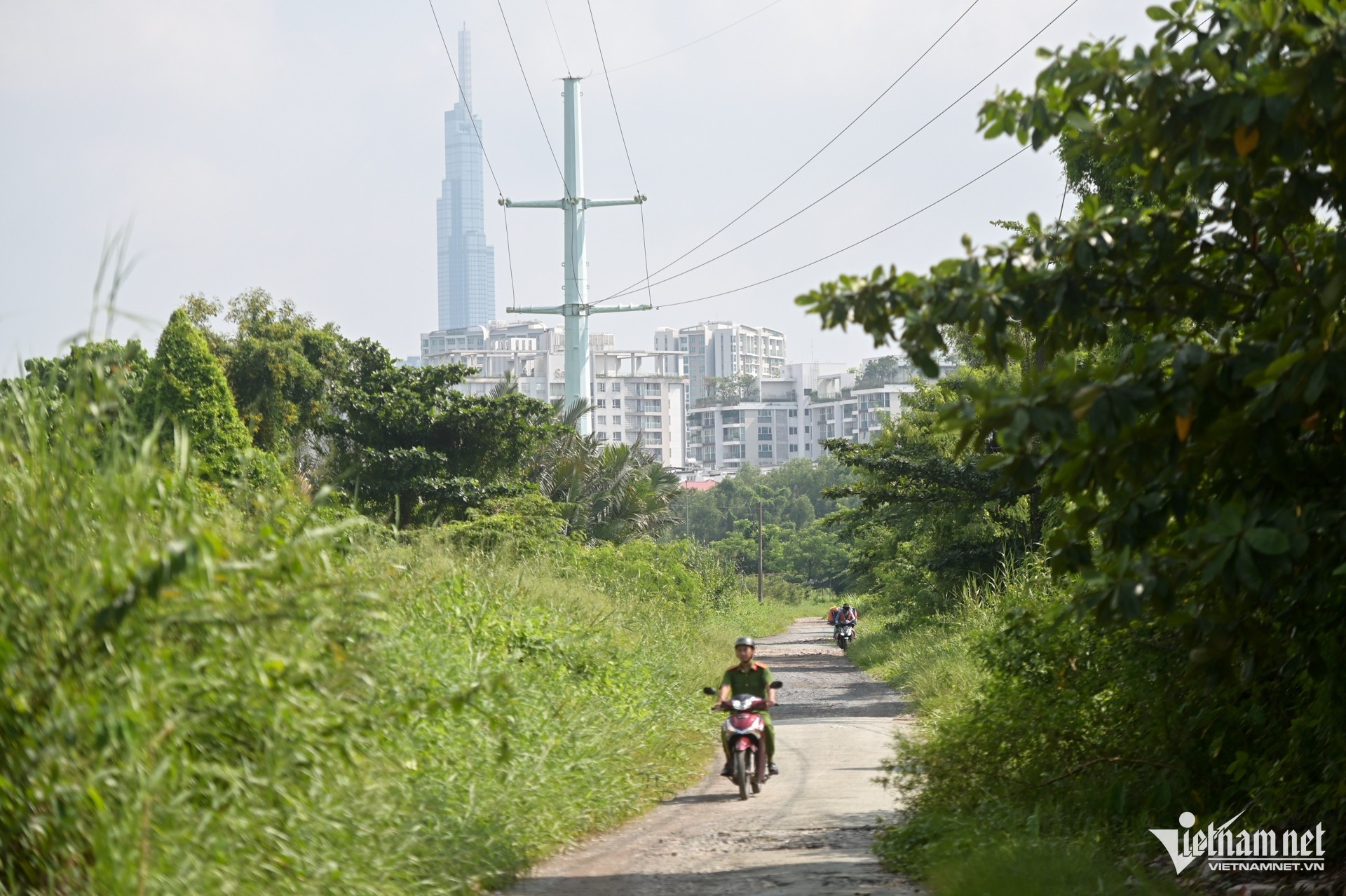 Un marais de 128 ha à Ho Chi Minh-Ville avant de devenir un parc de 6 400 milliards de VND photo 8