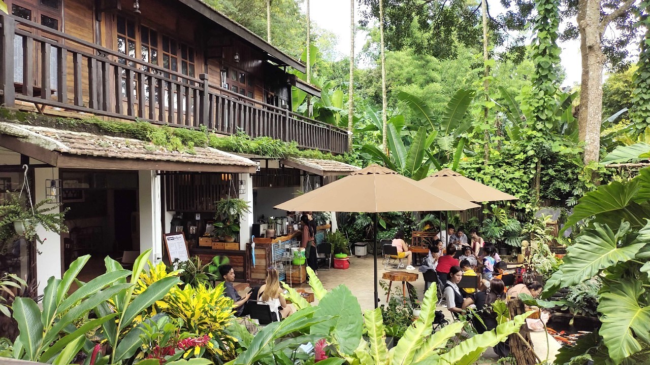 Coffee shops with stilt houses and thatched roofs attract young people in the mountain town photo 1