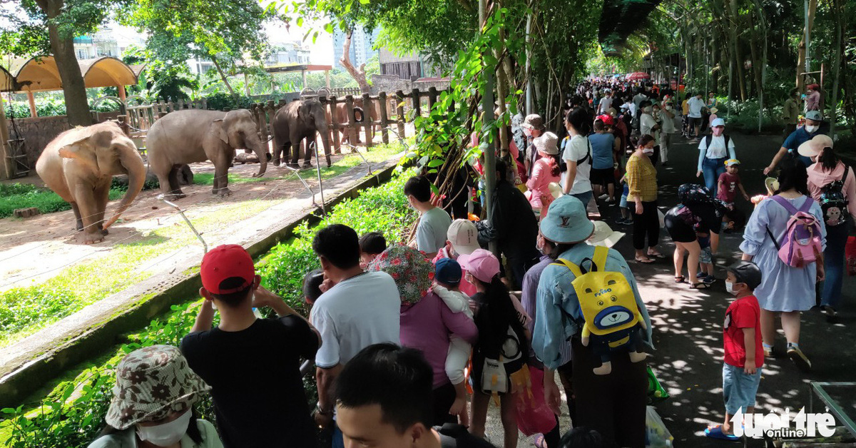 The decision to collect nearly 800 billion from Saigon Zoo was recommended by the inspectors from 2022.