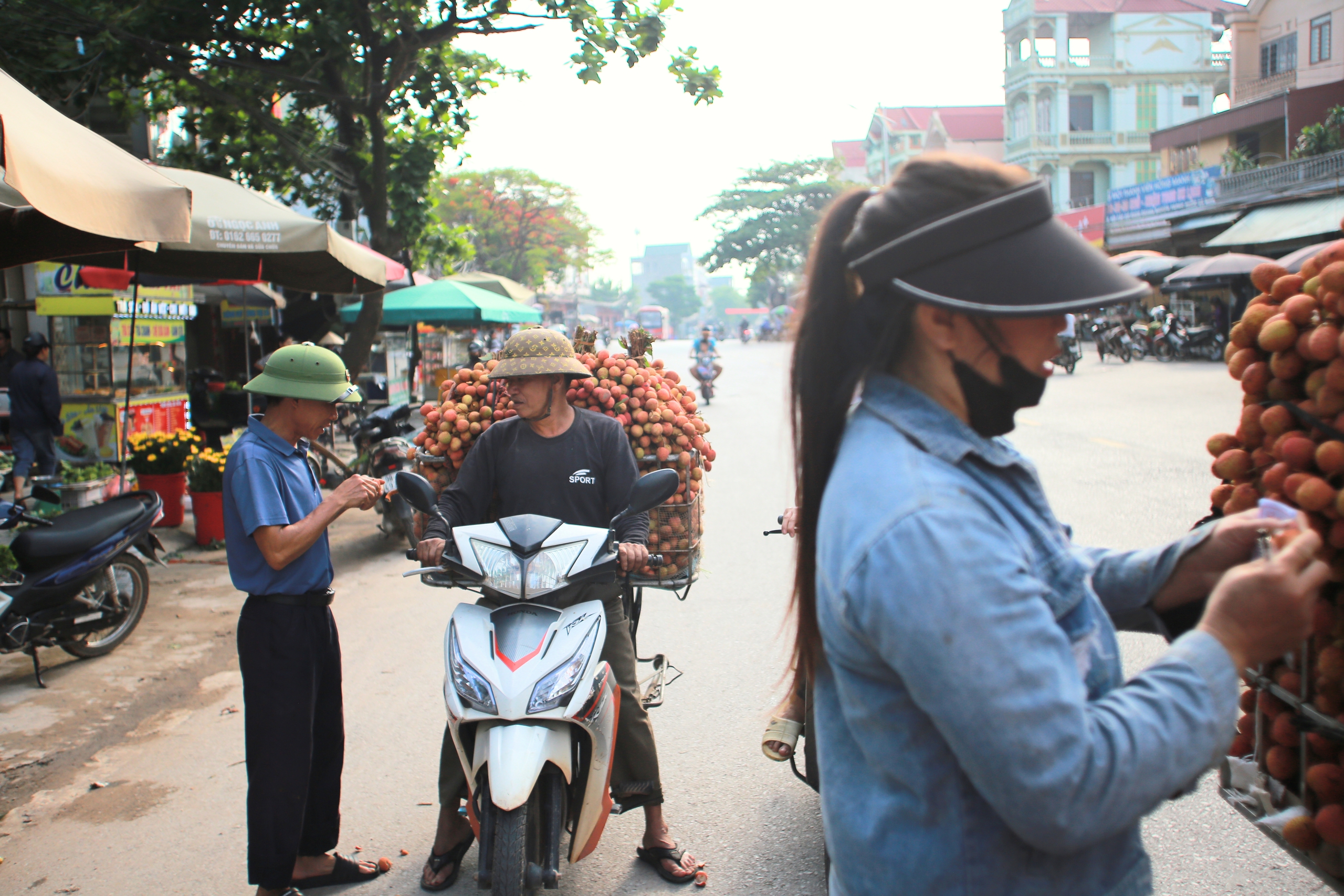 Người dân Bắc Giang vui mừng vì vải được thu mua với giá cao- Ảnh 1.