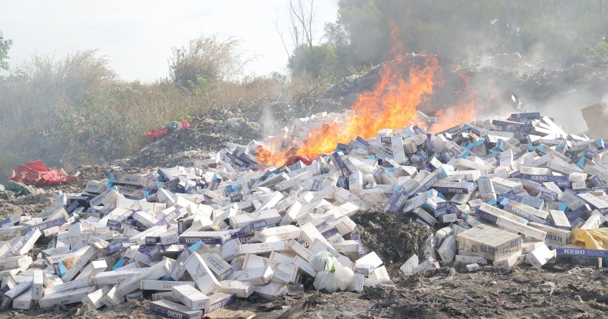 Plus de 62 000 paquets de cigarettes de contrebande saisis à Tay Ninh ont été détruits