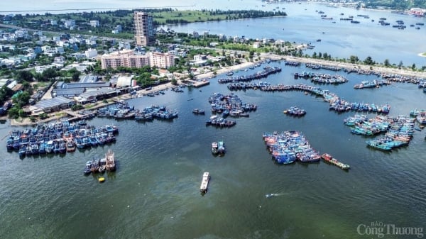 Se realizará una reunión comercial centrada en el proyecto de la Zona de Libre Comercio de Da Nang