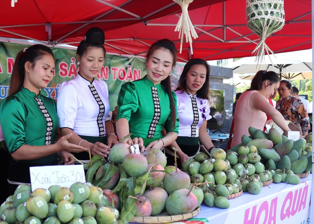 ការកសាងខ្សែសង្វាក់ការប្រើប្រាស់ផលិតផលកសិកម្មប្រកបដោយនិរន្តរភាព