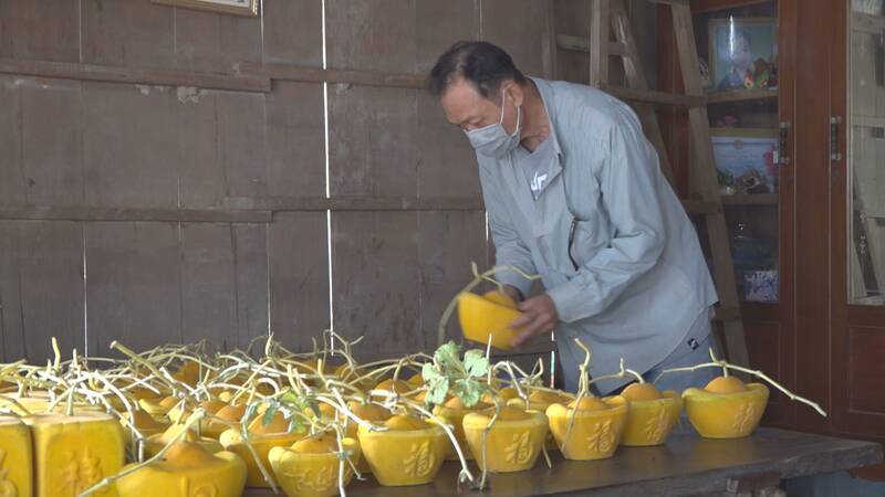 ក្រៅពីចំនួនផ្លែ Melon ថ្នាក់ទី 1 ដែលត្រូវបានធានាក្នុងការទទួលទាន ផ្លែ Melon ថ្នាក់ទី 2 ក៏មានតម្រូវការខ្ពស់ផងដែរ ដោយអតិថិជនមកផ្ទះដើម្បីជ្រើសរើសវាភ្លាមៗបន្ទាប់ពីប្រមូលផល។ រូបថត៖ Hoang Loc