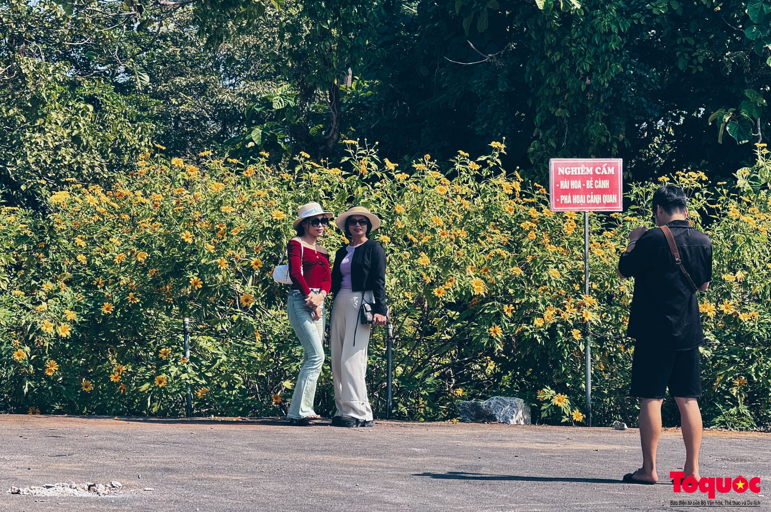 Giới trẻ mê mẩn check-in 