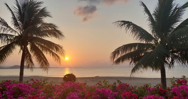 Mon moment Têt : célébrer lentement le Têt à Ninh Thuan