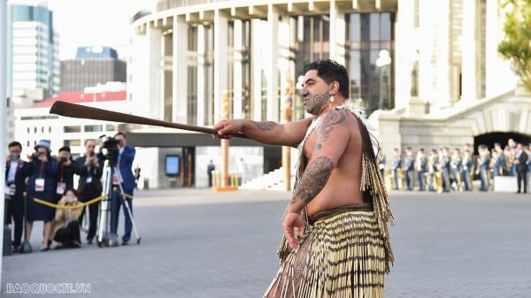 24 heures pleines de surprises amusantes à Wellington