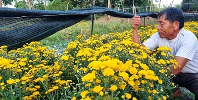 Un vieux paysan répand l'esprit du travail