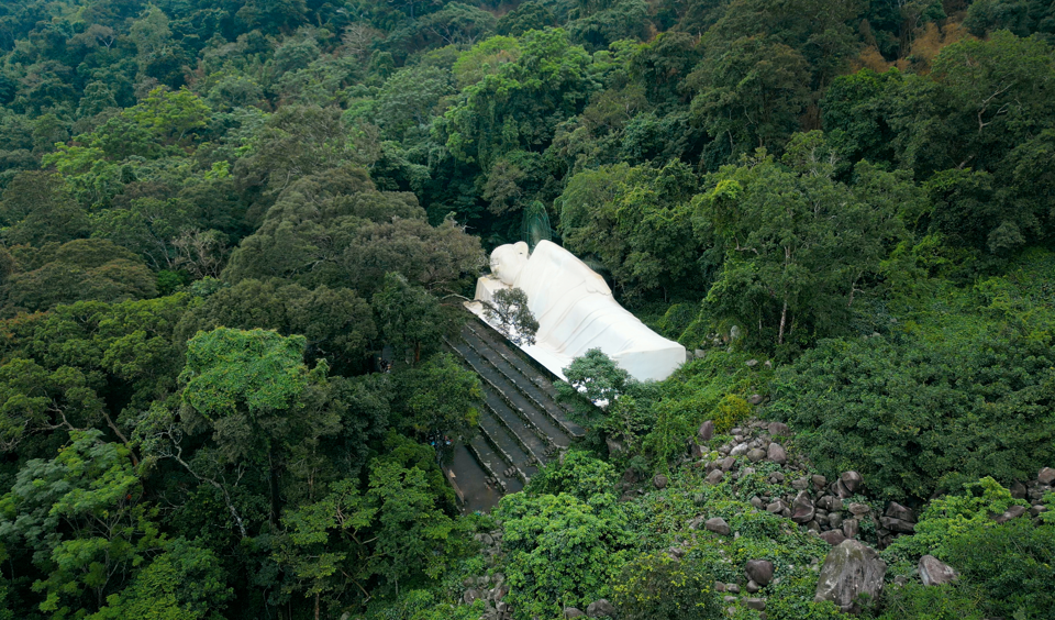 A white structure in the middle of a forest  Description automatically generated