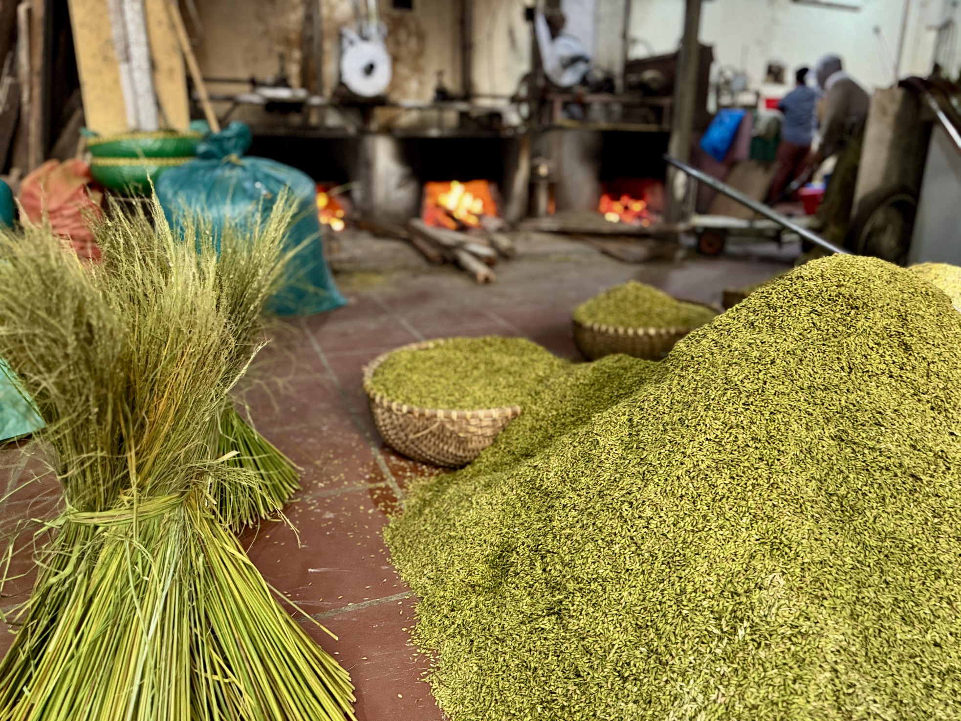 El arroz joven Me Tri está en llamas, bullicioso con el ritmo del arroz joven que se golpea en la nueva cosecha foto 5