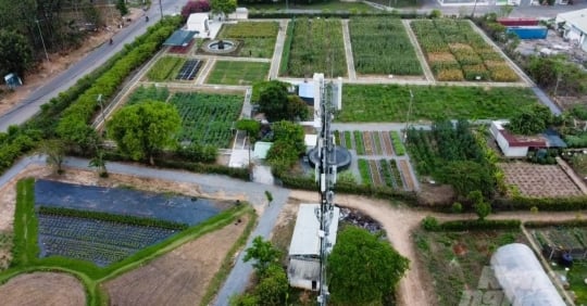 Spreading organic production from the Community Food Garden model