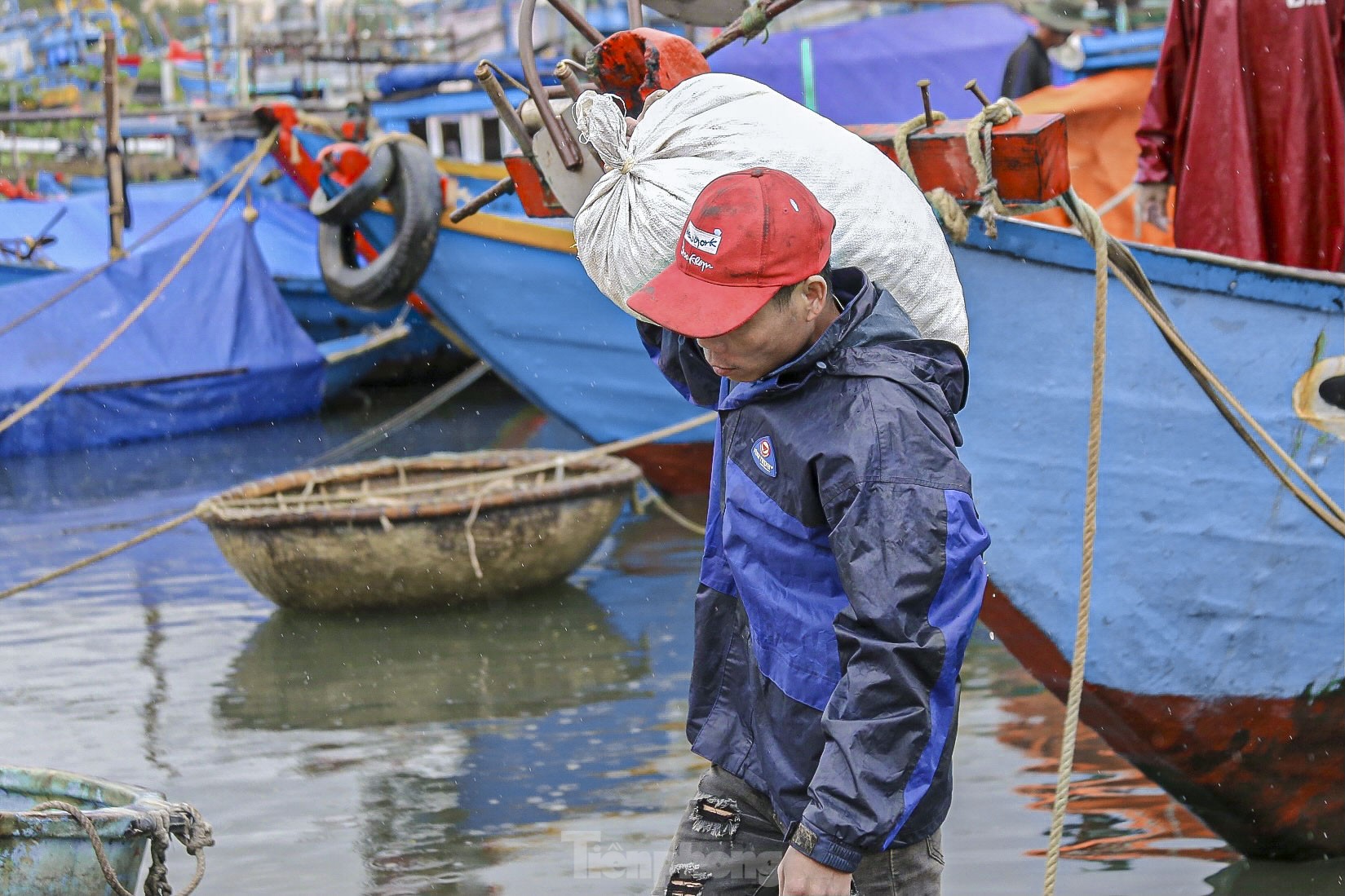 Los pescadores de Da Nang pescan cerca de la costa y ganan millones tras la tormenta (foto 18)