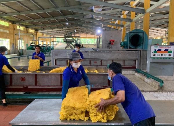 La part de marché du caoutchouc vietnamien diminue sur le marché indien.