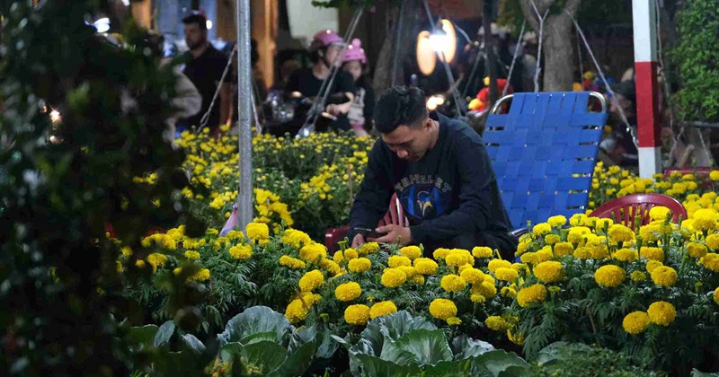 Al vender flores Tet en la era 4.0, los jardineros ya no se preocupan por los costos de espacio