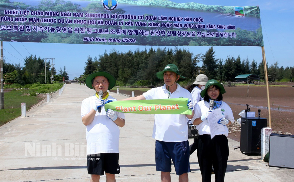 Le ministre de l'Agence coréenne des forêts a visité et participé à la plantation de mangroves à Kim Son