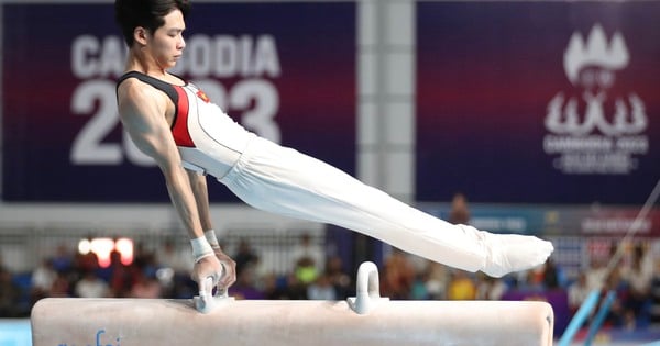 “Ver el gimnasio del equipo de gimnasia vietnamita es desgarrador, pero aún así los atletas ganaron 4 medallas de oro”