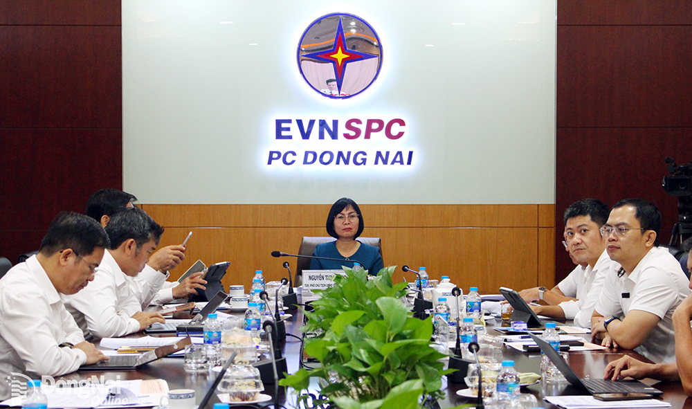 Vice Chairwoman of the Provincial People's Committee Nguyen Thi Hoang chaired the conference to launch electricity saving in 2023 at Dong Nai bridge point.