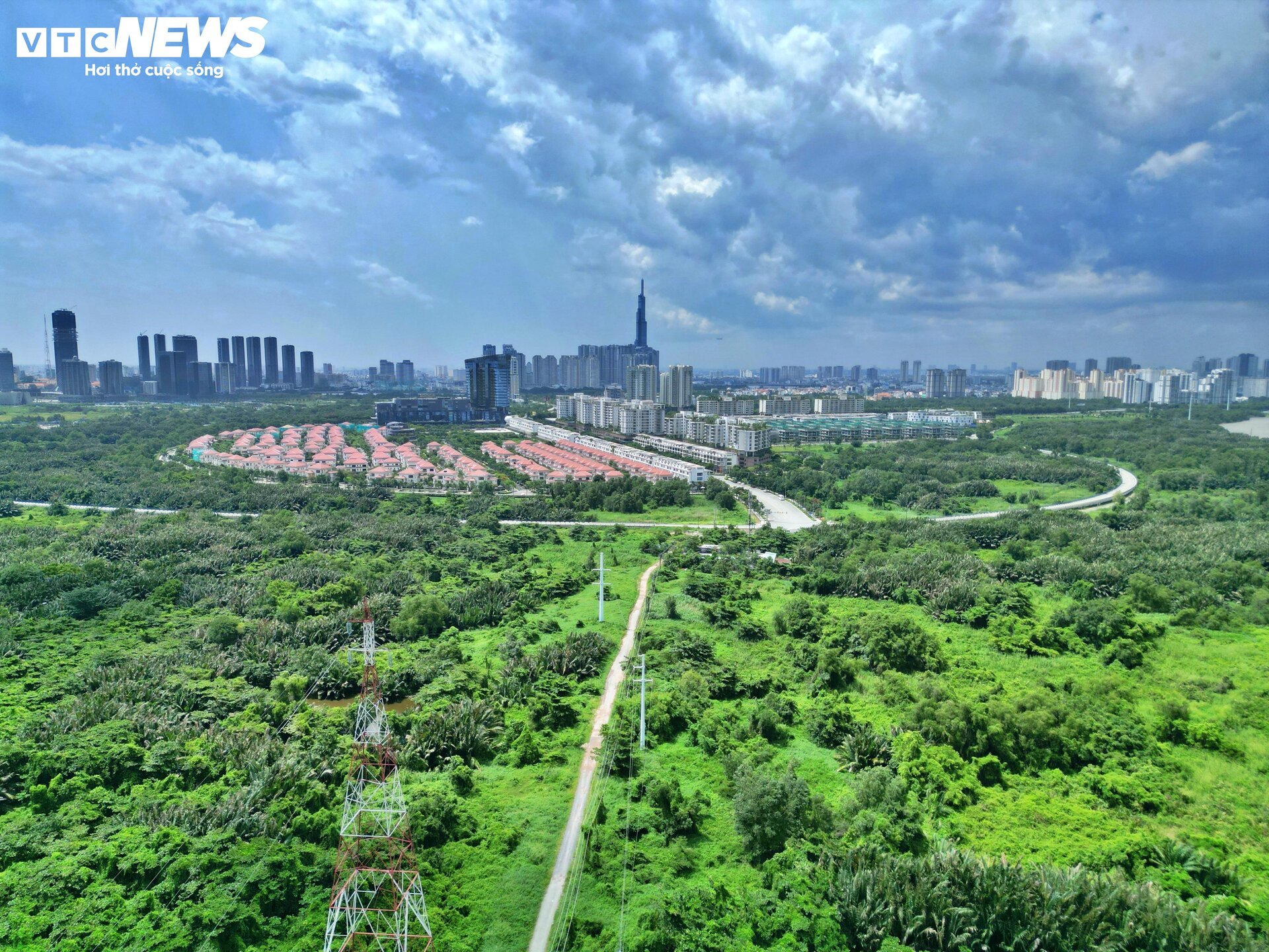 1兆ドル規模の公園になる前のトゥーティエムの沼のクローズアップ - 1