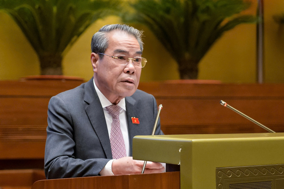 Duong Thanh Binh, chef de la Commission des pétitions populaires du Comité permanent de l'Assemblée nationale, a présenté le rapport. Photo: Quochoi.vn