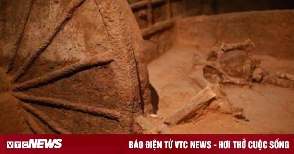 Fideos elaborados en 1994 encontrados en una tumba de 2.000 años de antigüedad revelan pistas sobre un robo