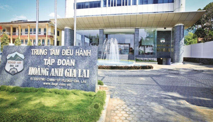 Hoang Anh Gia Lai (HAG) removed the list of investors buying 130 million shares