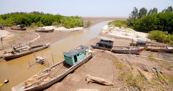 Bajas inundaciones, sequía temprana y severa y salinidad en el delta del Mekong