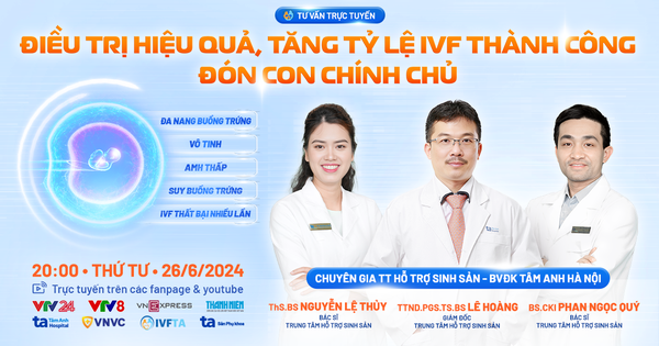 Từ nước ngoài về Việt Nam, đi xuyên Việt… để tìm con