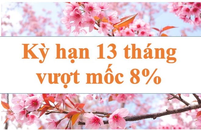 Lãi suất ngân hàng hôm nay 23.8: Kỳ hạn 13 tháng vượt mốc 8%