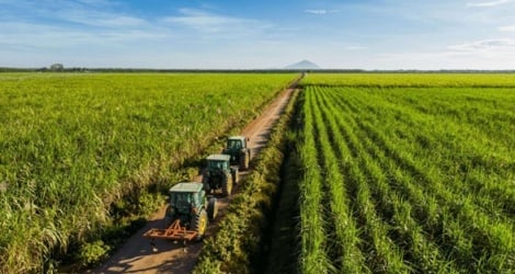 TTC AgriS bereitet die Ausgabe von 74 Millionen Aktien mit einer Dividendenrendite von 10 % vor