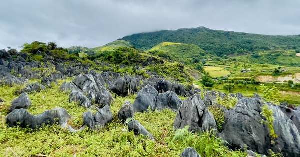 The wild and fierce Tua Chua stone plateau