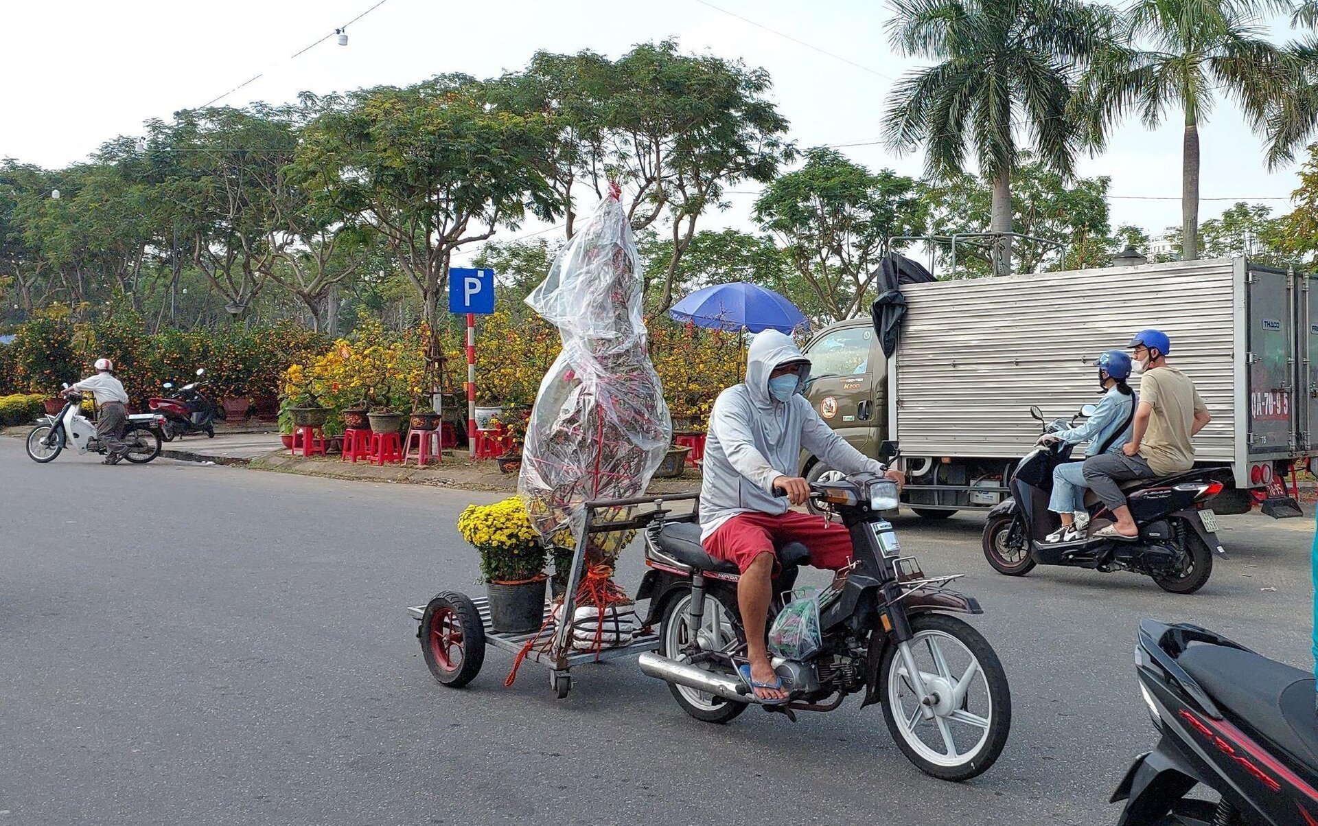 Transportando flores del Tet para ganar millones cada día, los conductores trabajan día y noche - 2