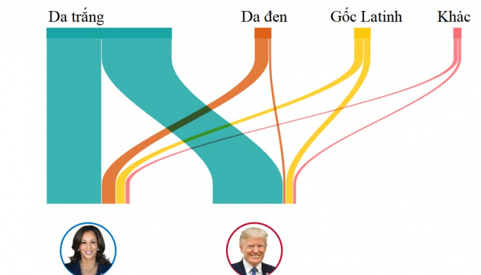 Các nhóm cử tri giúp ông Trump thắng cử Tổng thống Mỹ