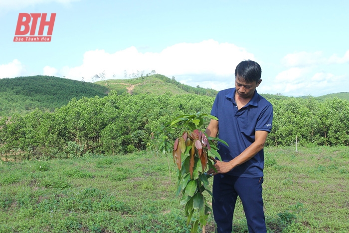 Developing key crops in mountainous areas