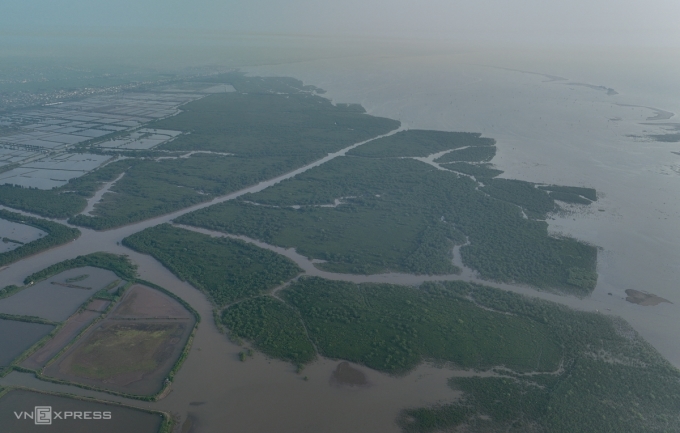 Mangrove forest at Tien Hai Wetland Nature Reserve. Photo: Ngoc Thanh