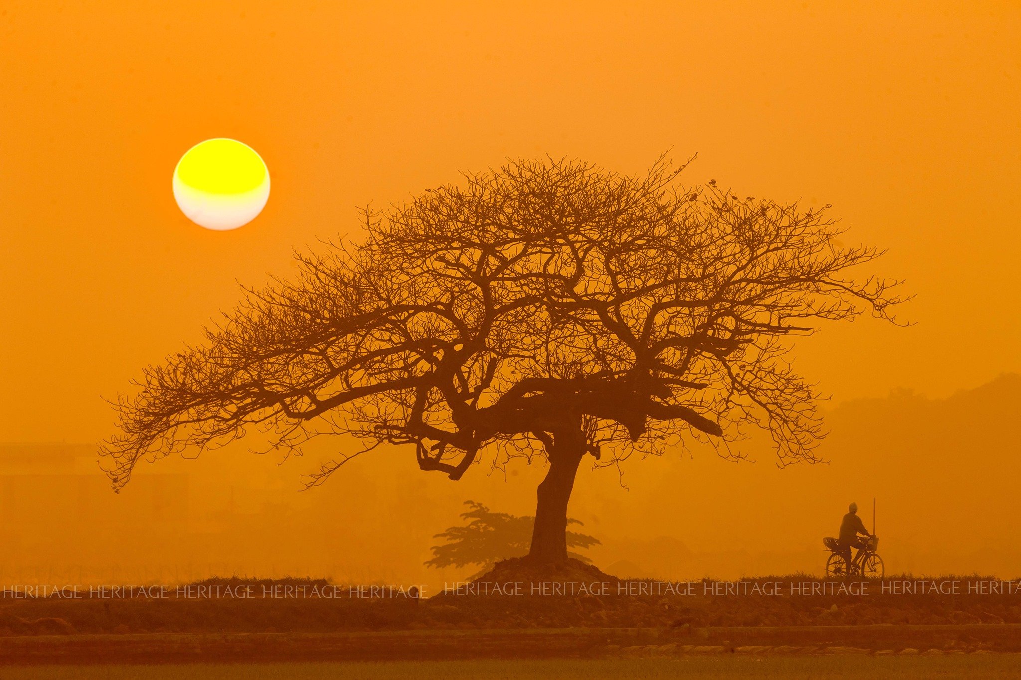 ទី​តាំង​ទី​ជនបទ​ភាគ​ខាង​ជើង