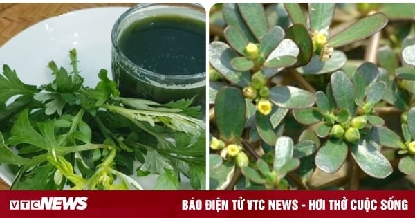 5 types of wild vegetables used by traditional medicine practitioners as medicine