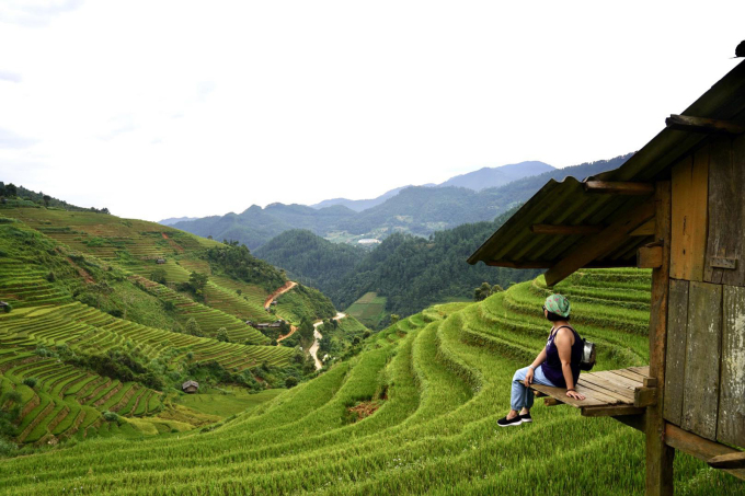 ข้าวบนเนินเขา Mam Xoi ใน Mu Cang Chai ในช่วงต้นเดือนกันยายนยังคงเขียวอยู่ ภาพถ่ายโดย: Nhat Quang