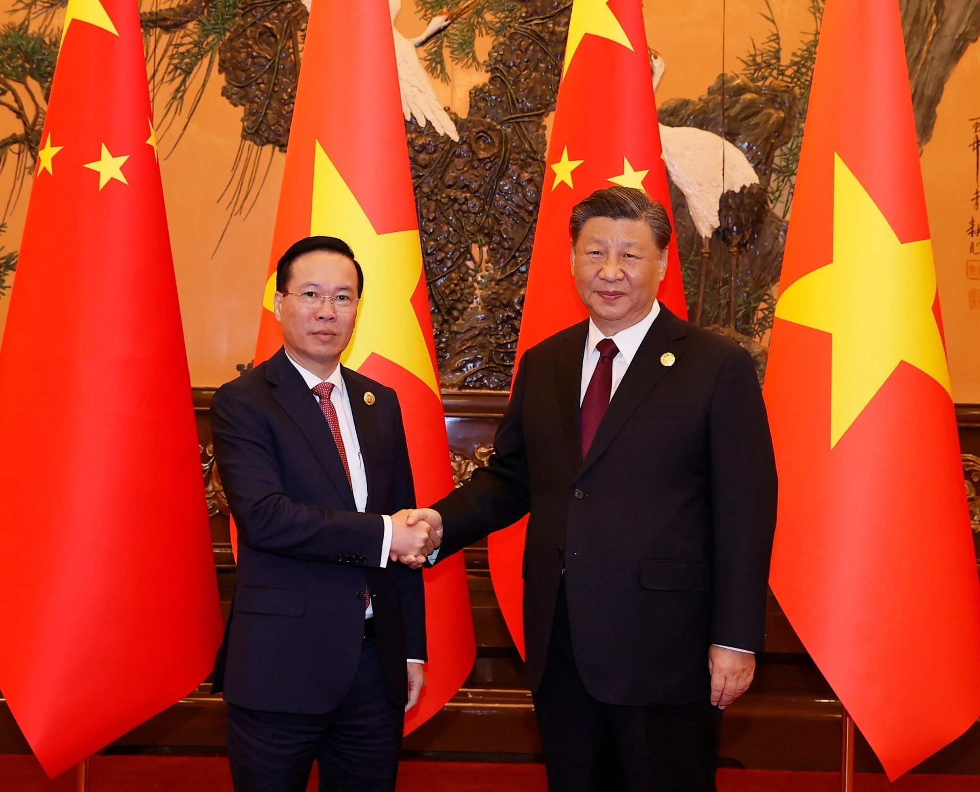 Chủ tịch nước Võ Văn Thưởng hội kiến Tổng Bí thư, Chủ tịch nước Tập Cận Bình - Ảnh 1.