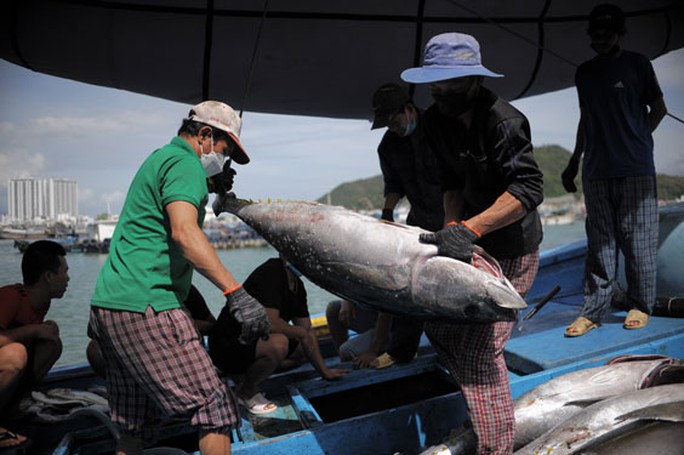 Gỡ thẻ vàng IUU: Nghiêm nhưng cần khéo - Ảnh 1.