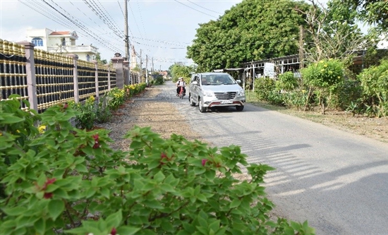 Đường hoa đậu biếc ở Trà Vinh đẹp mê ly luôn, thiên hạ tha hồ chụp hình, dân có thêm tiền chợ- Ảnh 1.