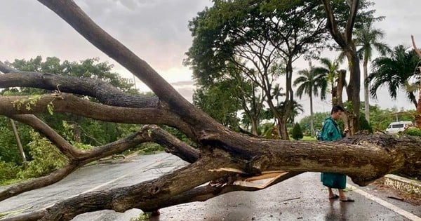 Many trees fell, causing traffic jams from Vung Tau to Ba Ria.