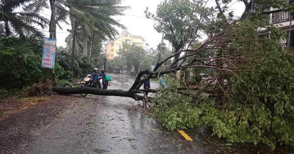 Impact de la tempête numéro 6