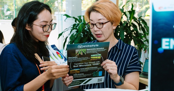 Aufbau eines Ökosystems für Social Impact-Unternehmen in Vietnam