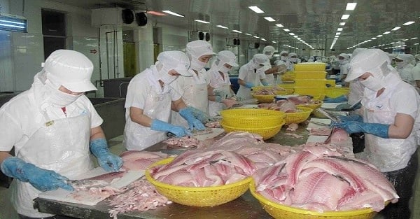 Vietnamesischer Pangasiusfisch ist in Hongkong (China) sehr gefragt