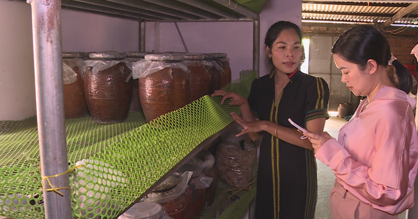 Getting rich differently from others, a K'Ho ethnic girl in Lam Dong brewed coffee in a jar, it turned out to be good