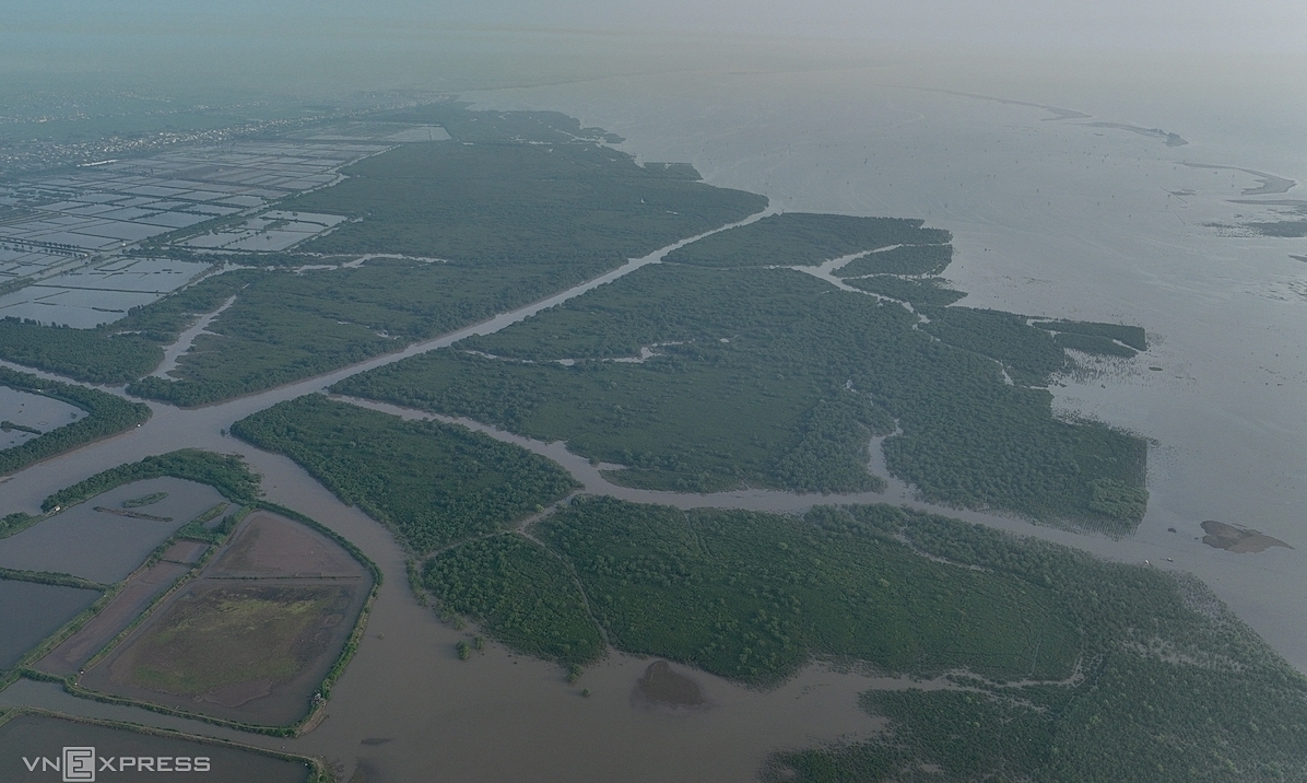 Thai Binh redéfinit la zone de la réserve naturelle de Tien Hai