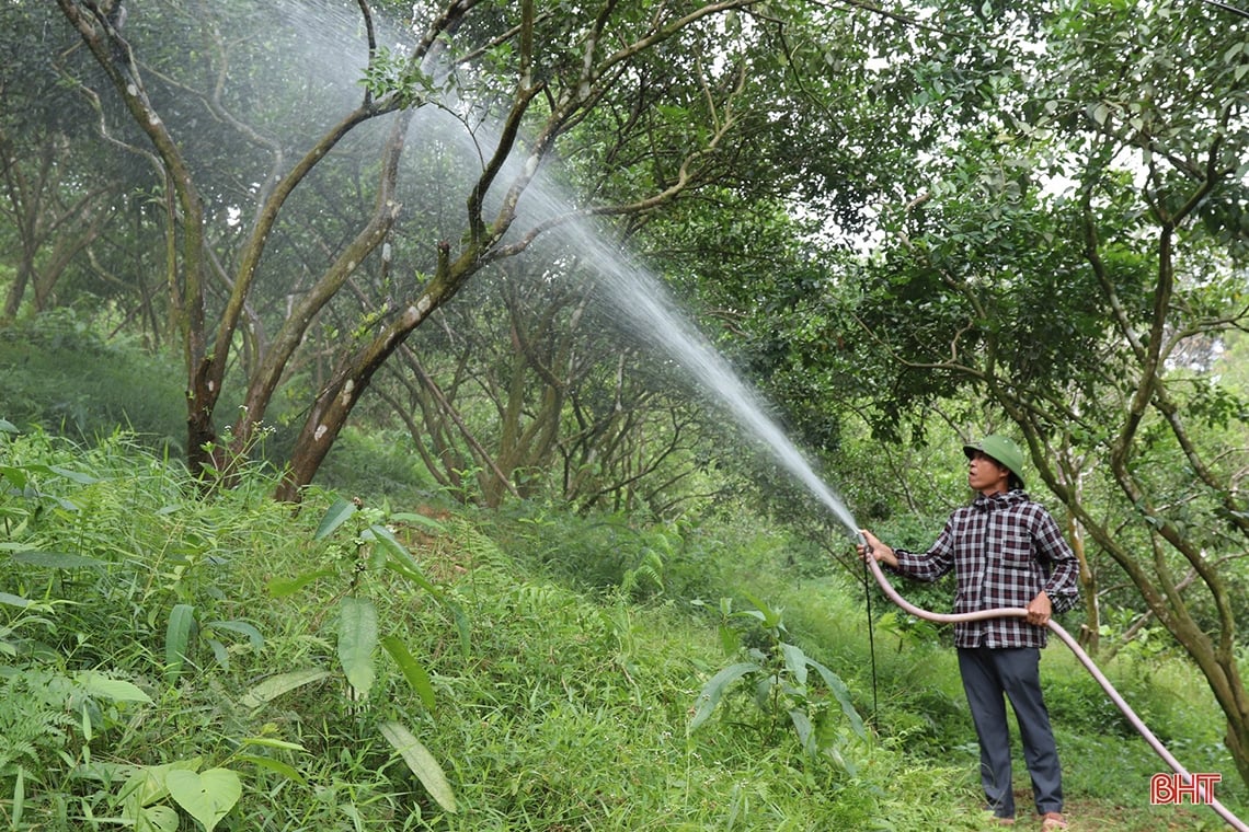 Farmer Vu Quang digs pond to store water to prevent drought for oranges