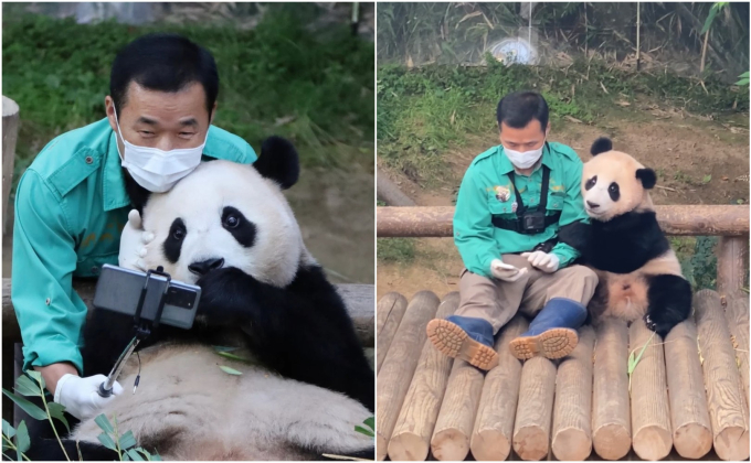 "Đỉnh lưu Pandabiz" Fubao: "Công chúa nhà tài phiệt" kiếm tiền khủng cỡ nào cho Samsung dù chỉ nằm chơi? - Ảnh 3.