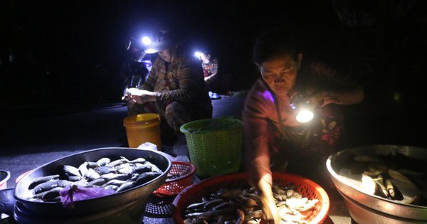 Tha La ghost market in An Giang opens at midnight, the sky is dark, below are delicious freshwater fish under flashlights